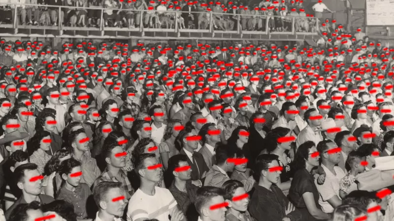 1920_196375513162a99fd3eff7d.png