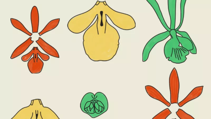 1920_4411258025e1712d738316.png