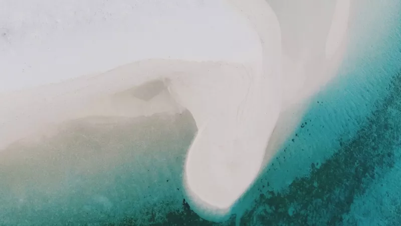 1920_45318159261b9cffe3d164.png