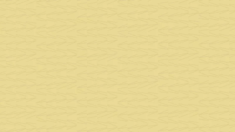 1920x974_2_3__58999317565e1f5fb56ee5.png