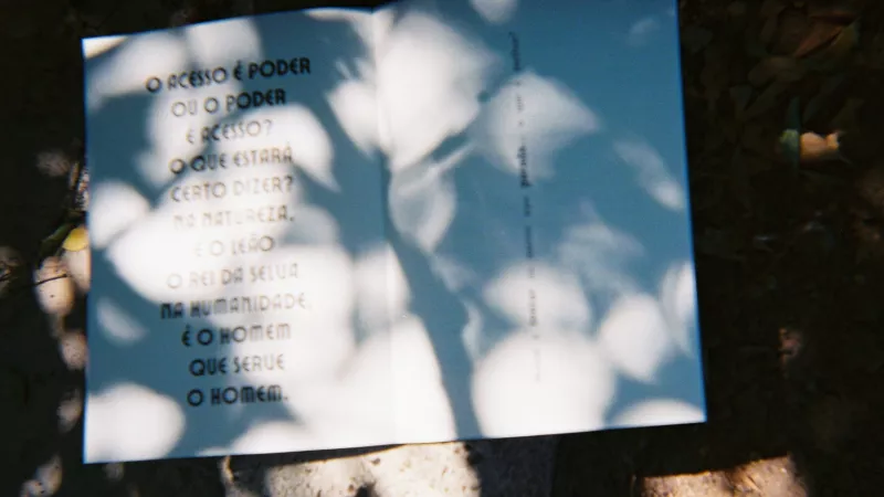 loule_es_dono_1920_83093441468e7862eb6d82.png