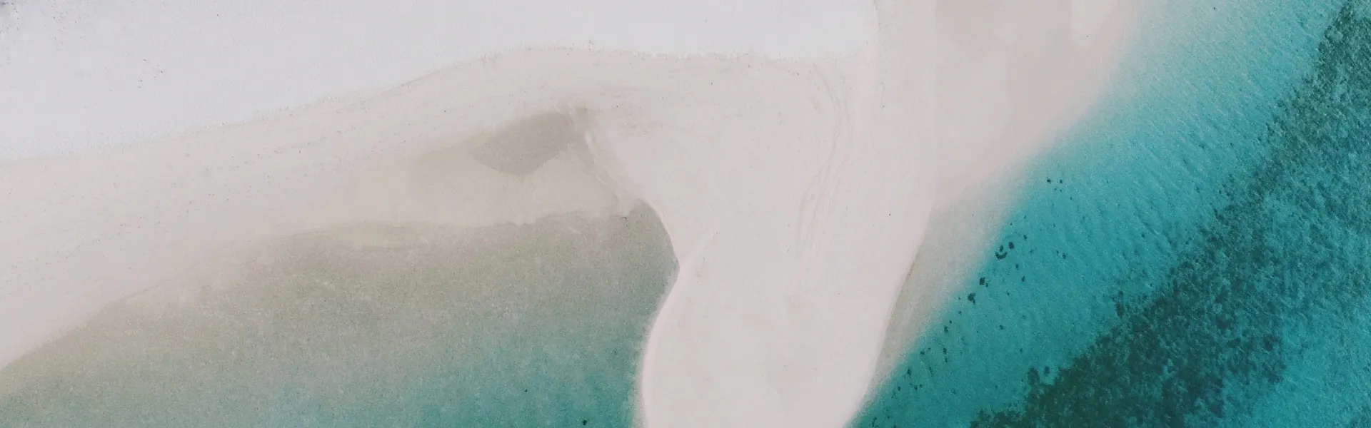 1920_45318159261b9cffe3d164.png 1920_45318159261b9cffe3d164.png