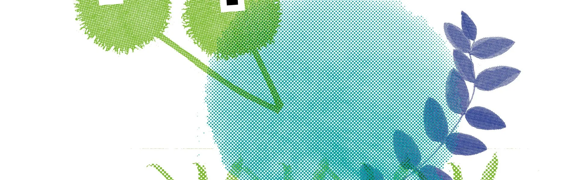 cresceaparece_imagens_1920_187110188559e09209aa213.jpg cresceaparece_imagens_1920_187110188559e09209aa213.jpg